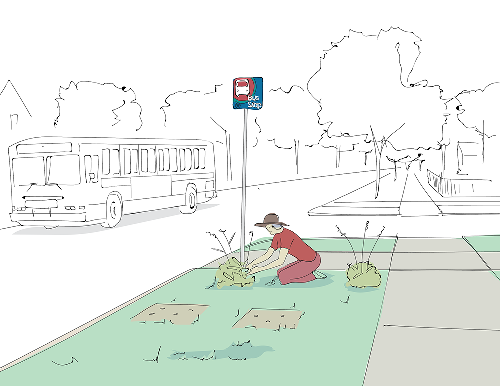 Sketch of a woman planting a bush at a bus stop sign